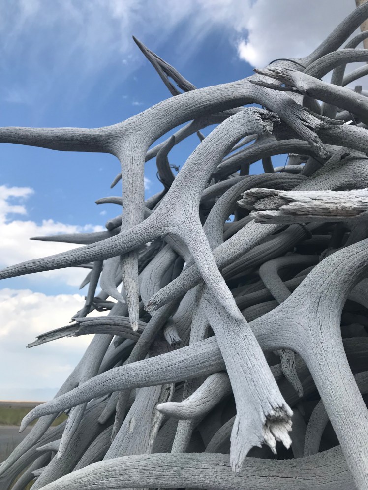 Antlers and Sky