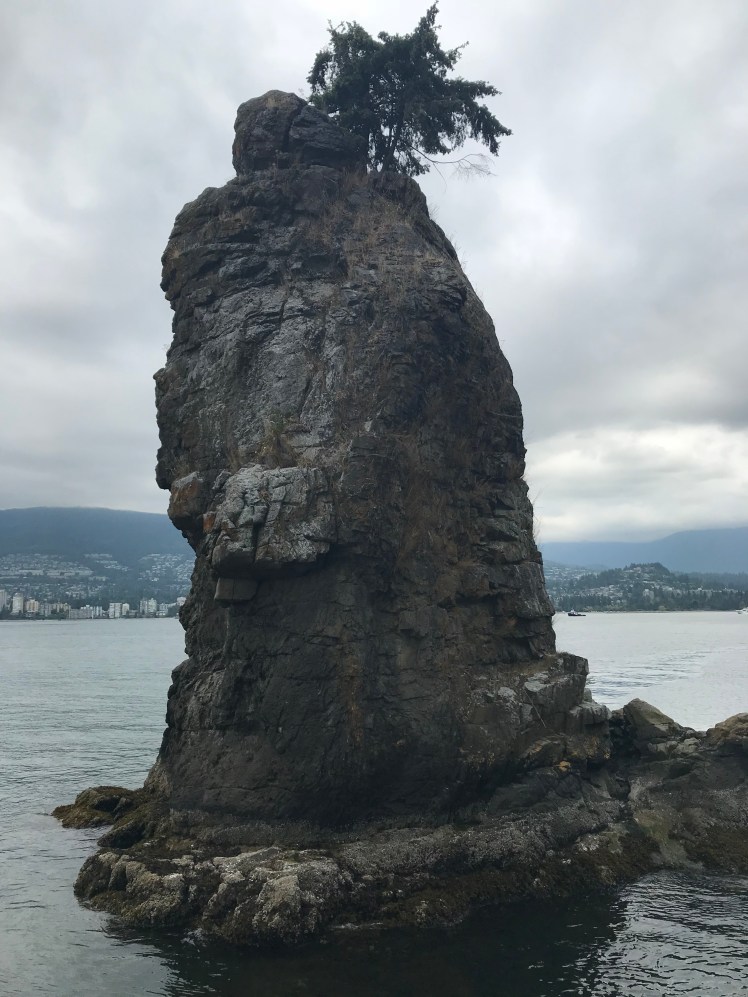 ibOlGRIBRiq89f3vcE83iw