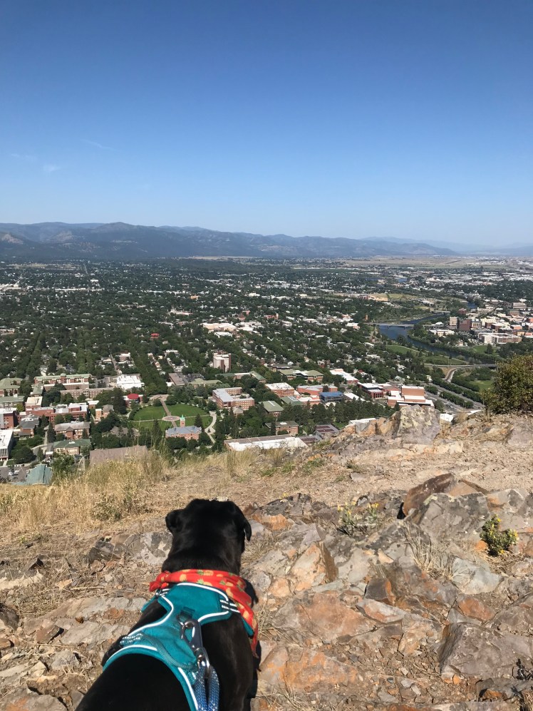 Looking down on Missoula