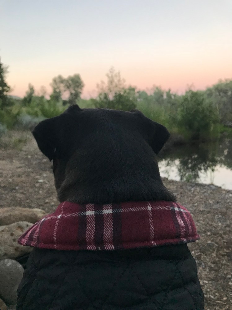 %m6EXsb+Rc6E2lKMvlo%5g