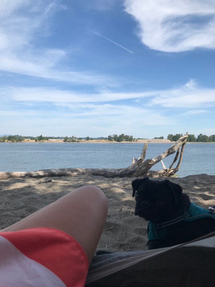 Sauvie Island Tent View