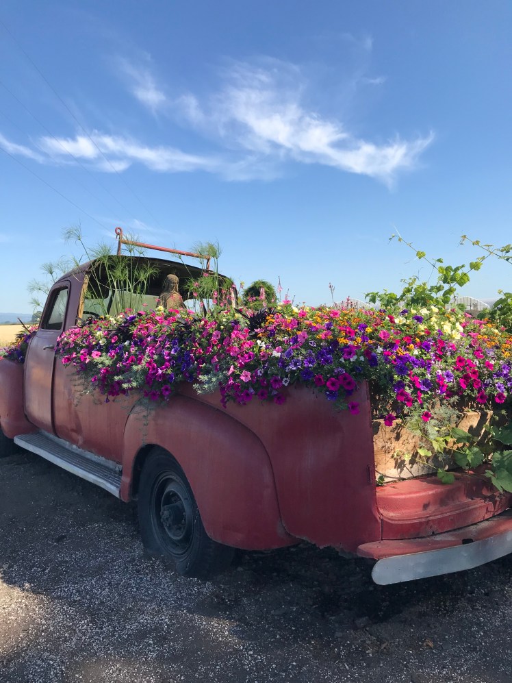 Truck Flowers Sauvie