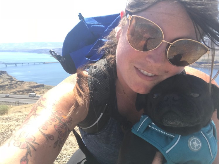 Unenthused Pug Selfie VantageJPG