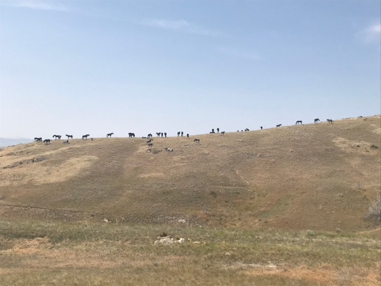 a3XSgvROQ0C74%mlZjYTrw